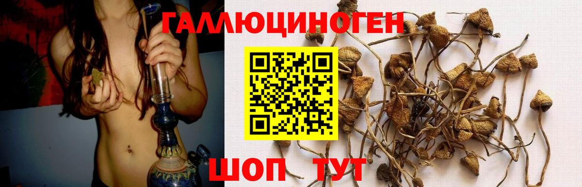 Галлюциногенные грибы ЛСД  Вход с VPN  Галлюциногенные грибы MAGIC MUSHROOMS  Протвино 