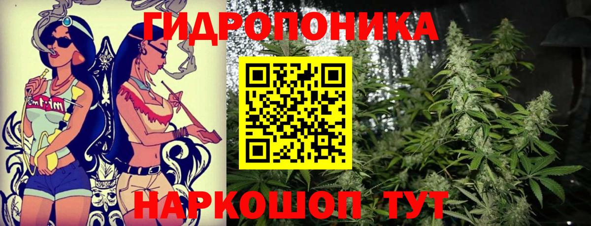 Конопля Amnesia  Вход с VPN  Протвино  Канабис Ganja 
